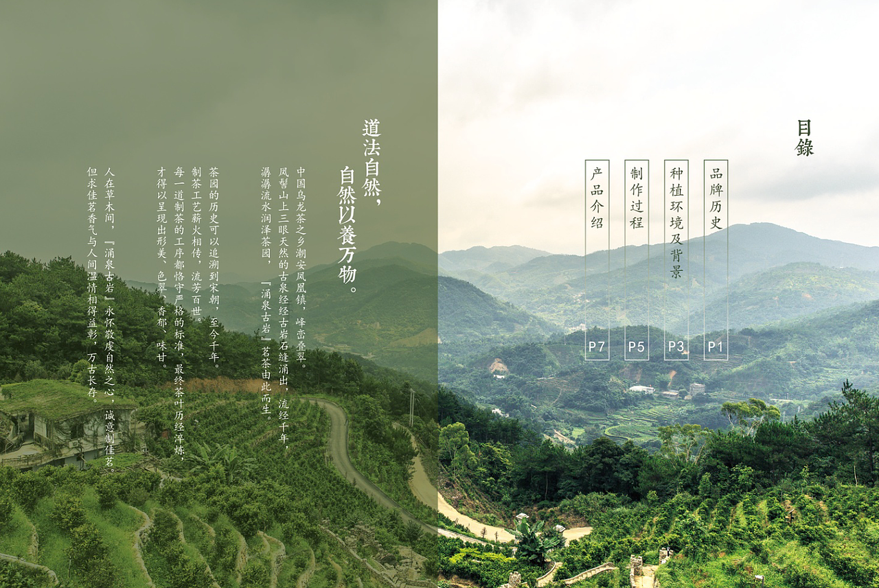 嘉茗茶業(yè)-品牌宣傳畫冊（圖ZMTgyNzk3MDYw） - 書籍/畫冊 - 站酷設(shè)計師有光餐飲品牌策劃原創(chuàng)素材 - 站酷ZCOOL