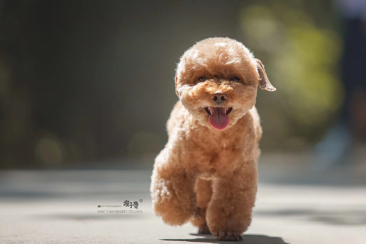 「兰州站」泰迪