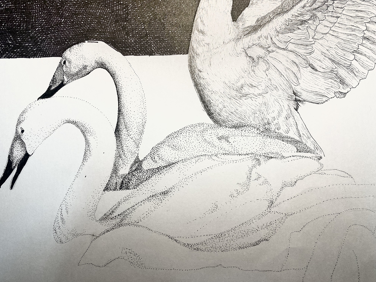 钢笔画《五朵金花》（图ZMzU4NTc3NDI0） - 绘画 - 站酷设计师哲艺原创素材 - 站酷ZCOOL