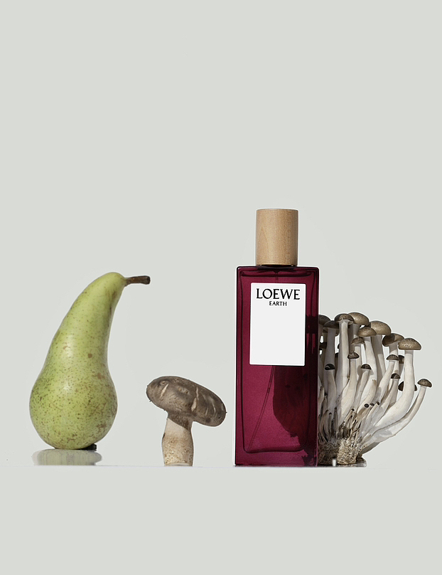KV拍摄|LOEWE植物彩虹系列