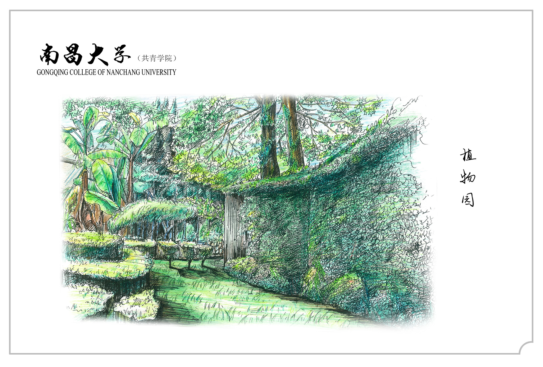 手绘校园|空间|景观设计|陈思危 - 原创作品 - 站酷 (zcool)