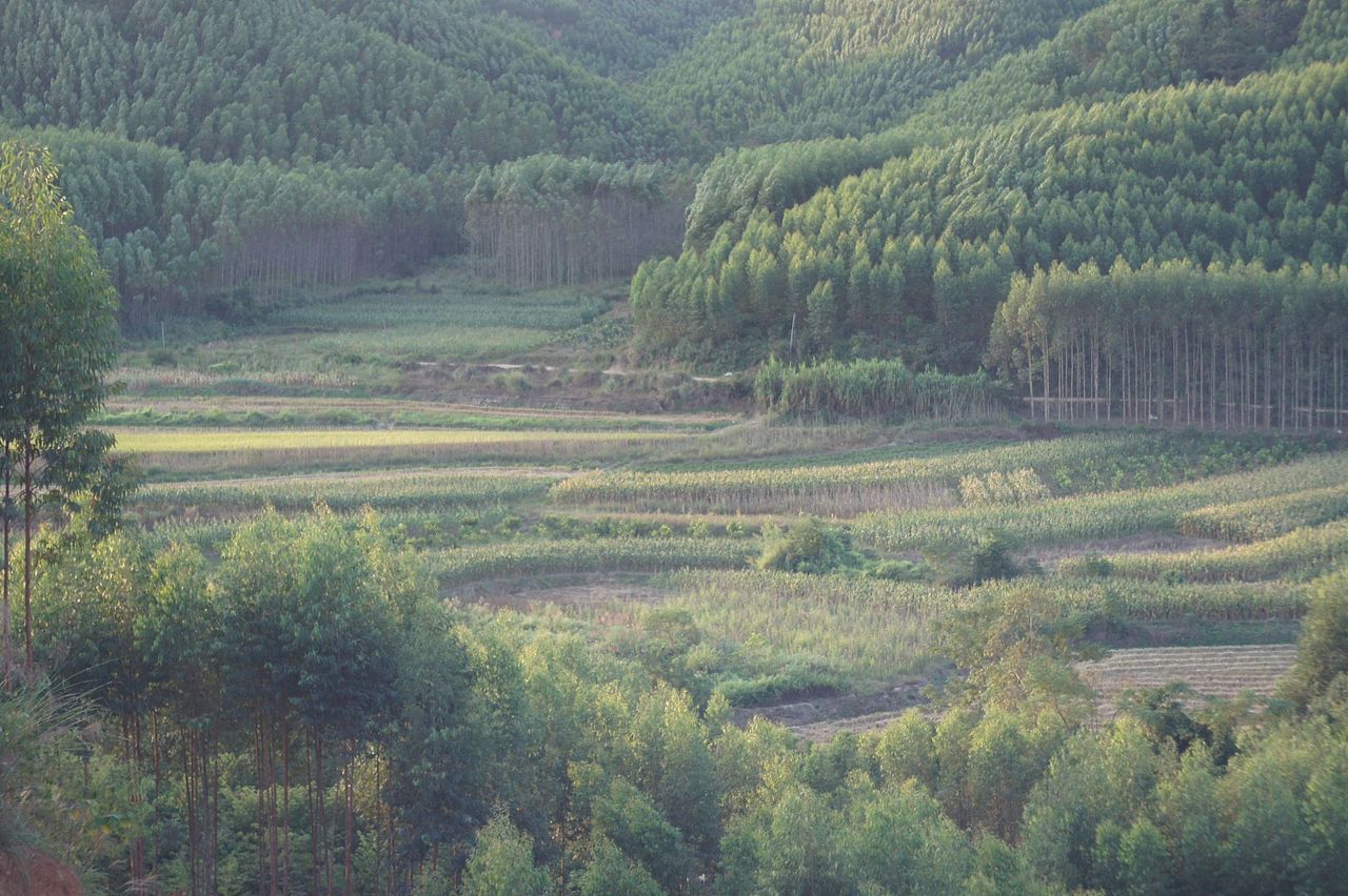 相院——光明顶之旅