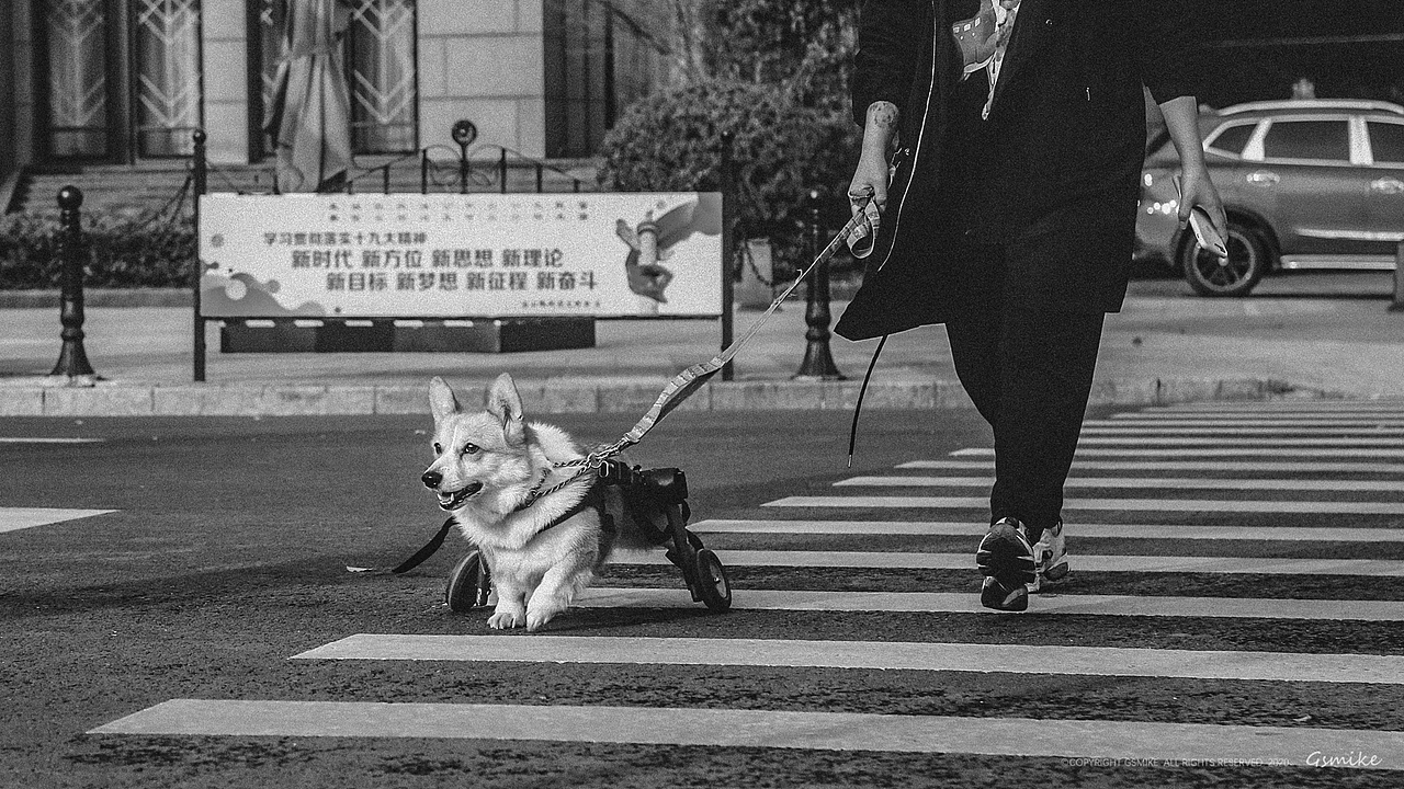 《生活的英雄》2019下半年摄影作品整理（图ZMjA0MzkwMzk2） - 人文/纪实摄影 - 站酷设计师gsmike原创素材 - 站酷ZCOOL