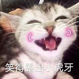 清文Skr的头像