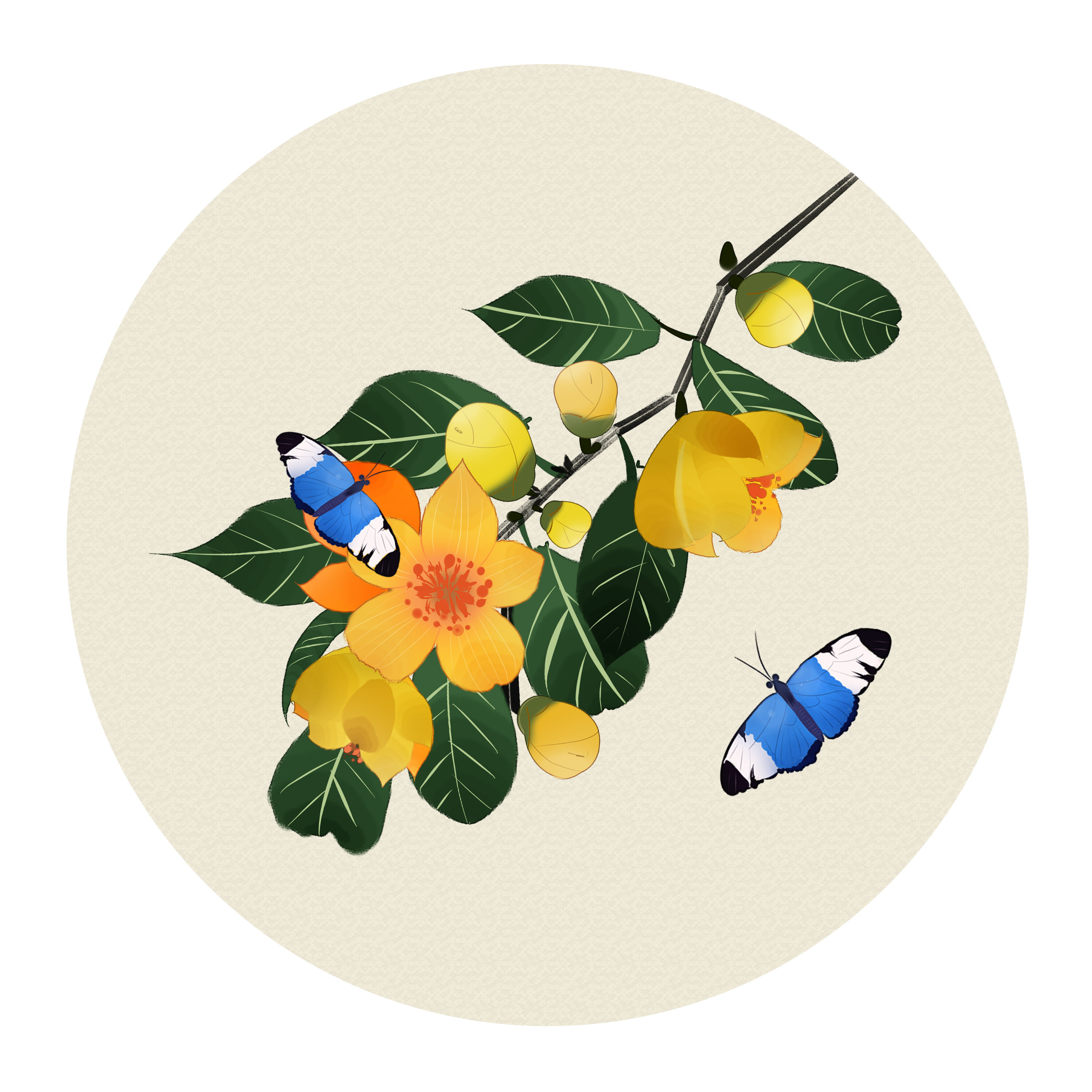 中国风花卉|插画|商业插画|极图 - 原创作品 - 站酷 (zcool)