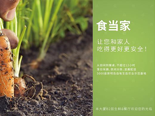 食当家餐厅海报平面设计