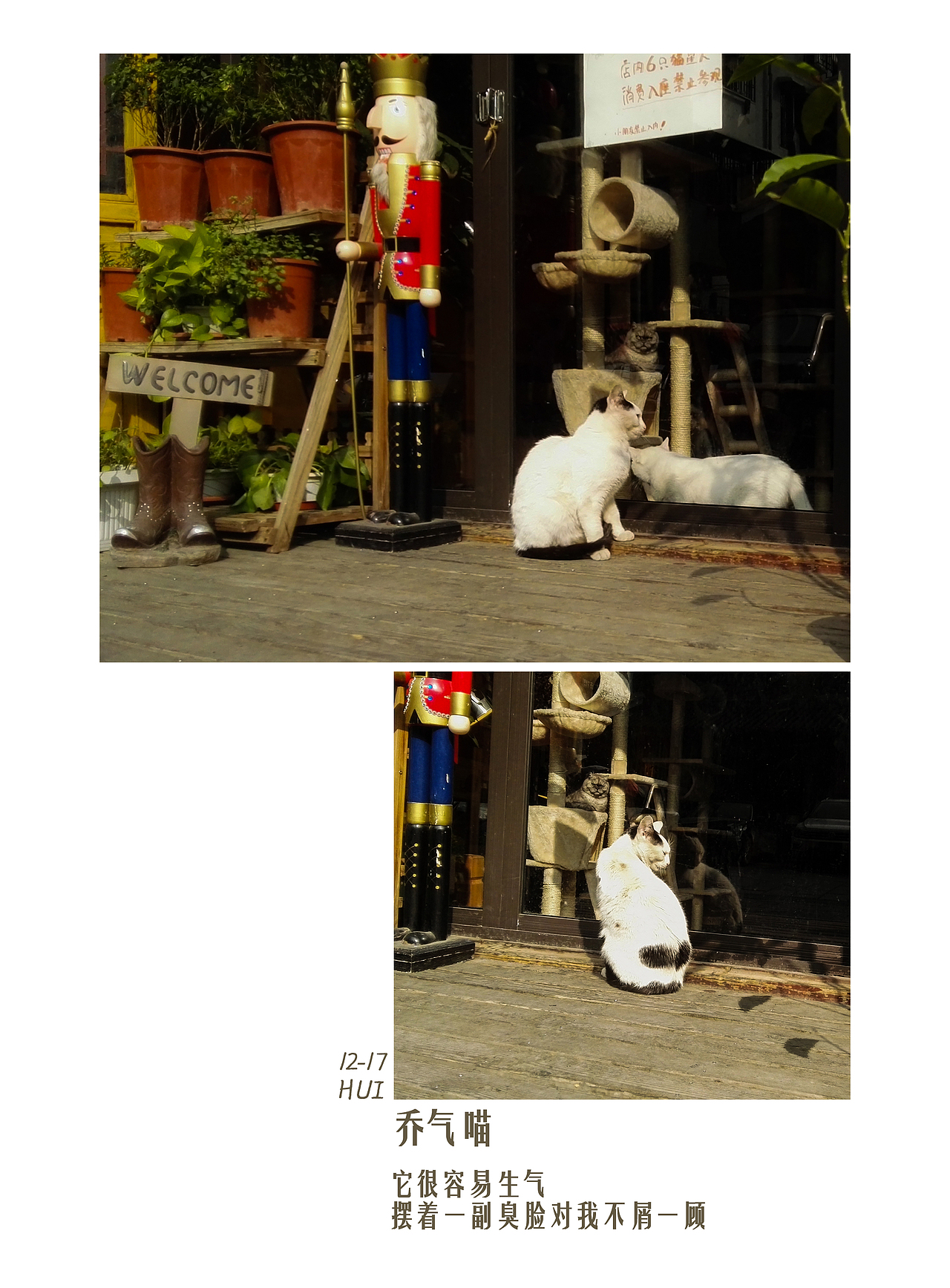 我好像HUI一点【版式设计】耶✌——2017年的快乐碎片2