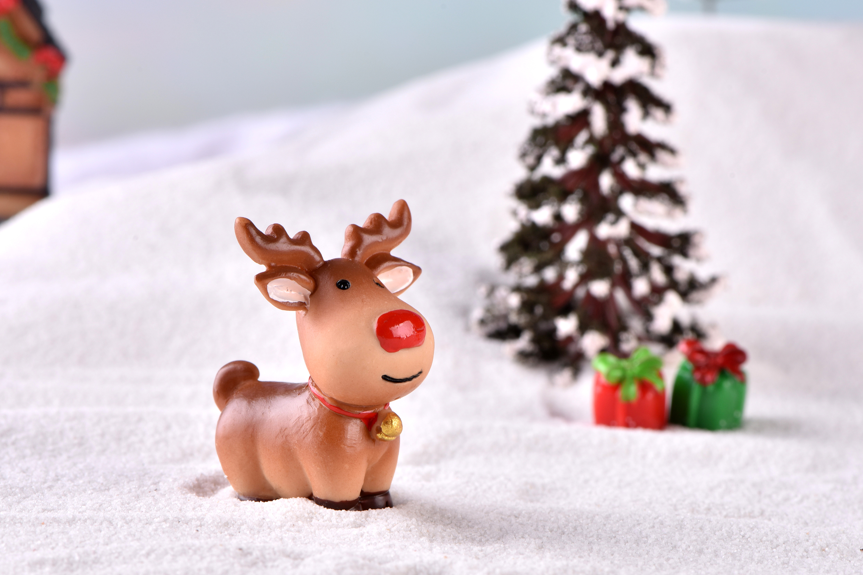 圣诞麋鹿圣诞鹿车圣诞主题摄影圣诞微景观摆件|摄影|静物|飞鼠将军 - 原创作品 - 站酷 (ZCOOL)