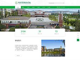 學(xué)校官網(wǎng)