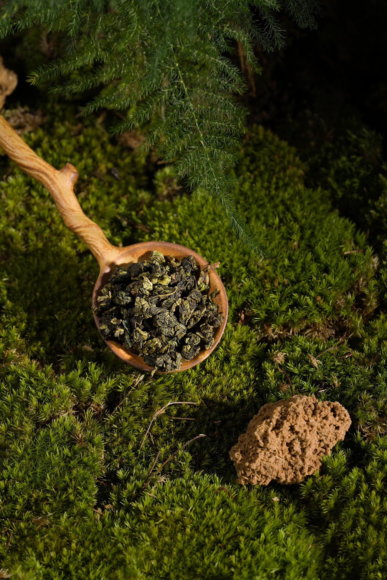 SEVENBUS 茶叶概念图拍摄（图ZMjkxNDQ2NzM2） - 时尚/艺术摄影 - 站酷设计师NOSeriousOffice原创素材 - 站酷ZCOOL