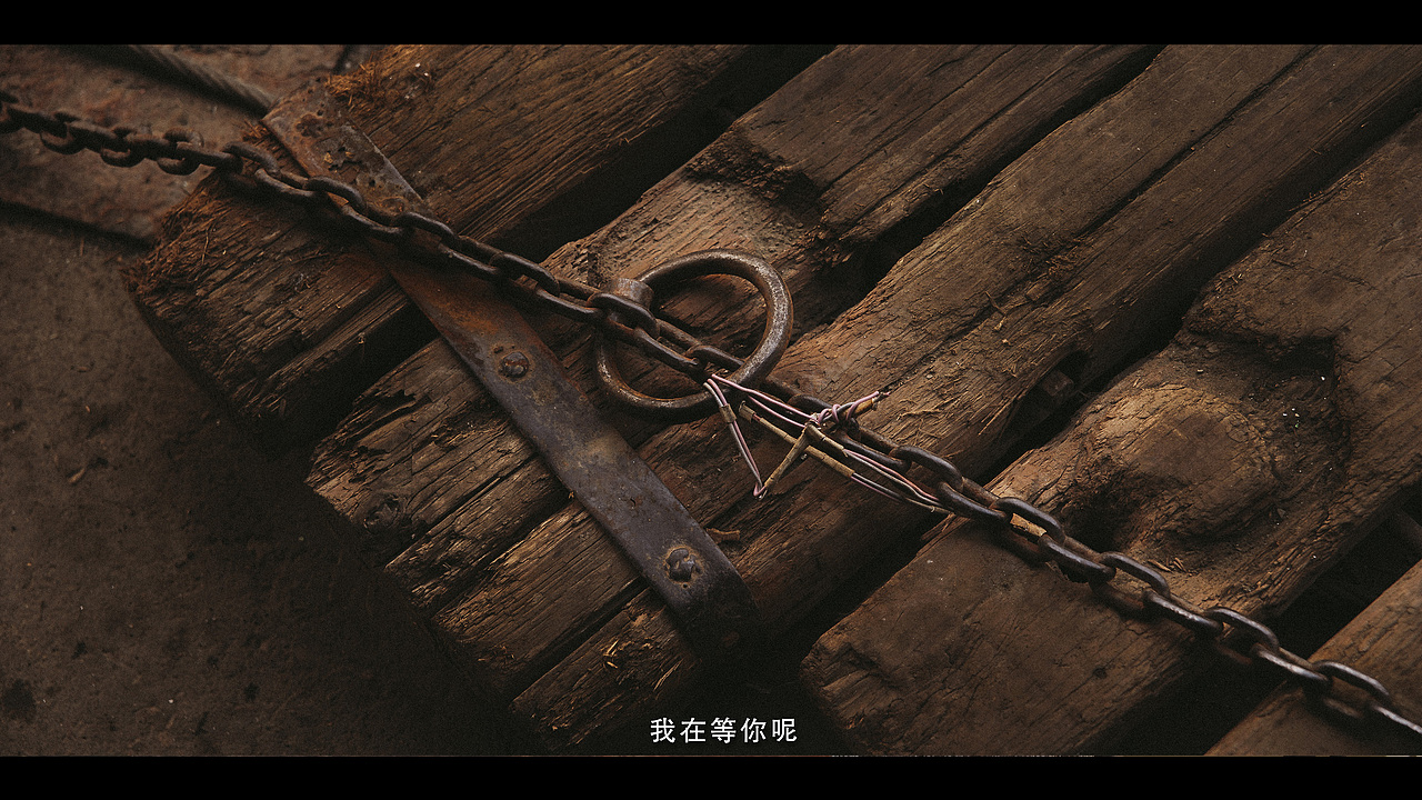 我知道这个世界每天都有太多遗憾