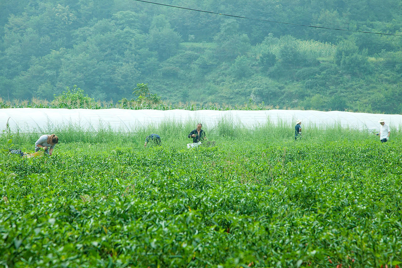 陕西洛南旅游扶贫摄影花絮集合