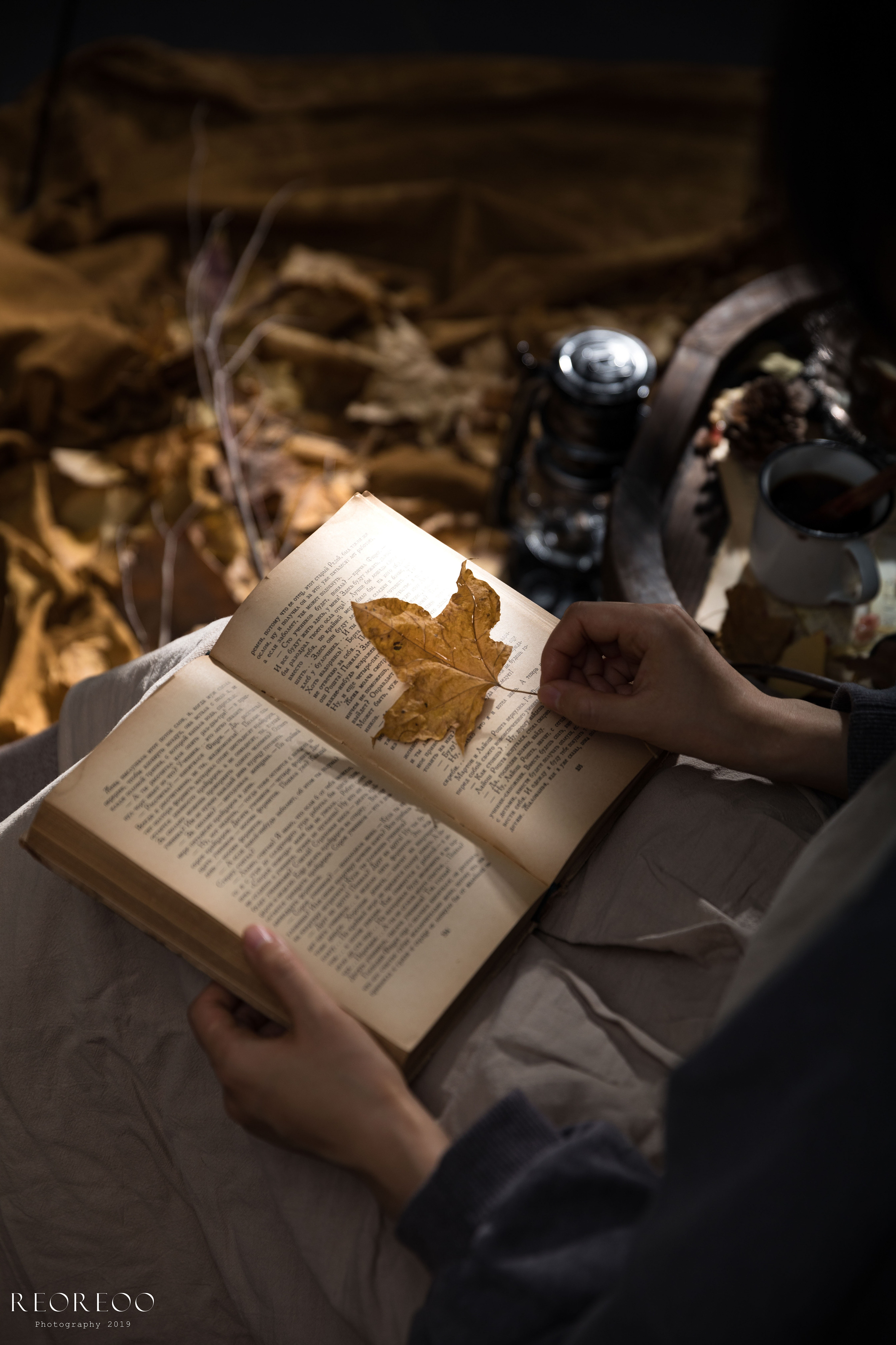 秋天 枫叶 北欧 欧洲风 羽毛笔 书|摄影|产品摄影|reoreoo - 原创作品