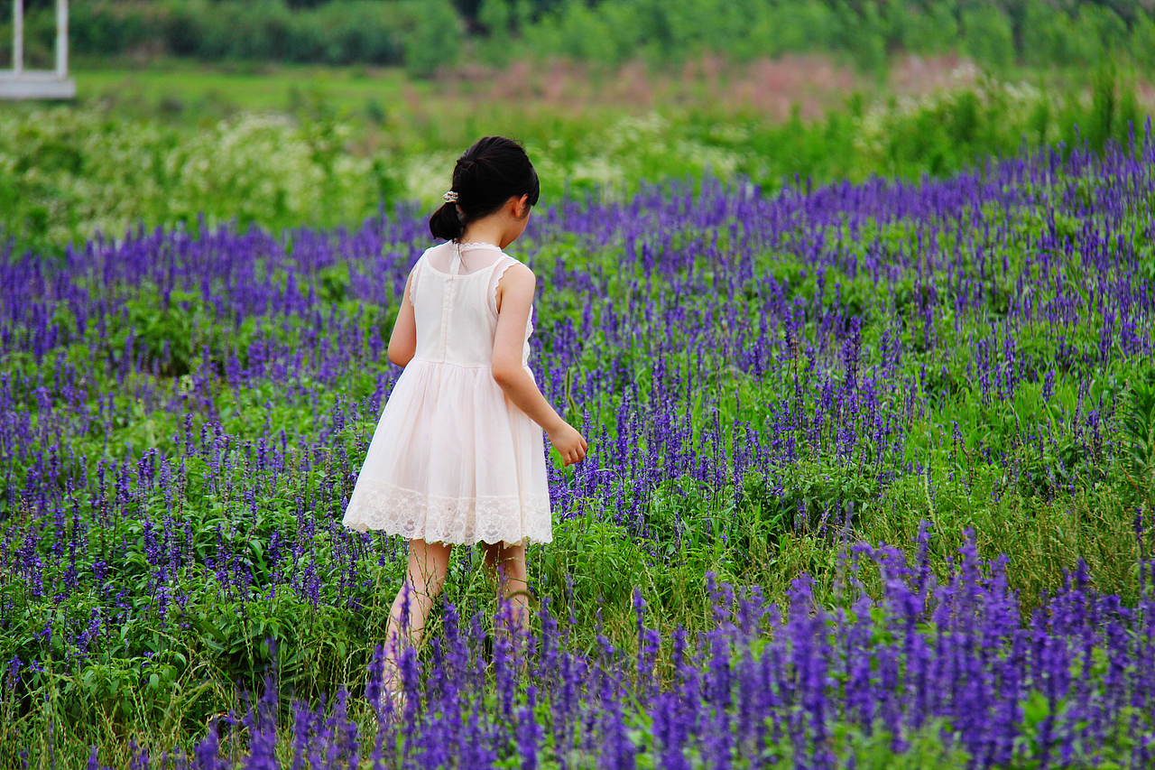 湖北咸宁薰衣草基地女儿的身影！（图ZMzY4MzUwODg=） - 其他摄影 - 站酷设计师j88love原创素材 - 站酷ZCOOL