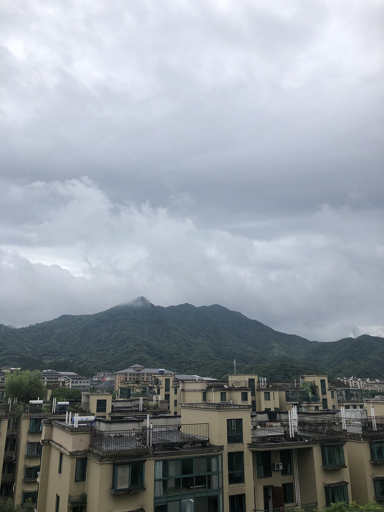 随手拍的日常照