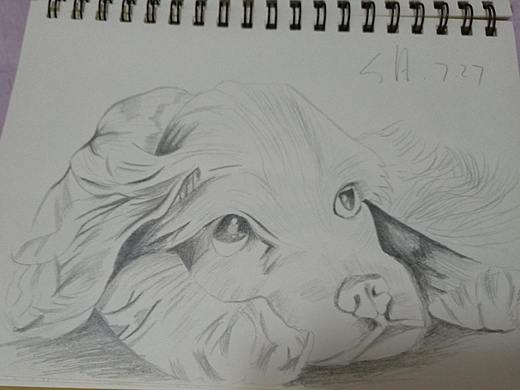 临摹（个人主页-ZMjkzNDM1OTI=） - 创作习作 - 站酷设计师SH华少原创素材 - 站酷ZCOOL