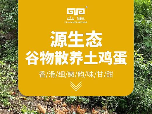 鸡蛋详情页