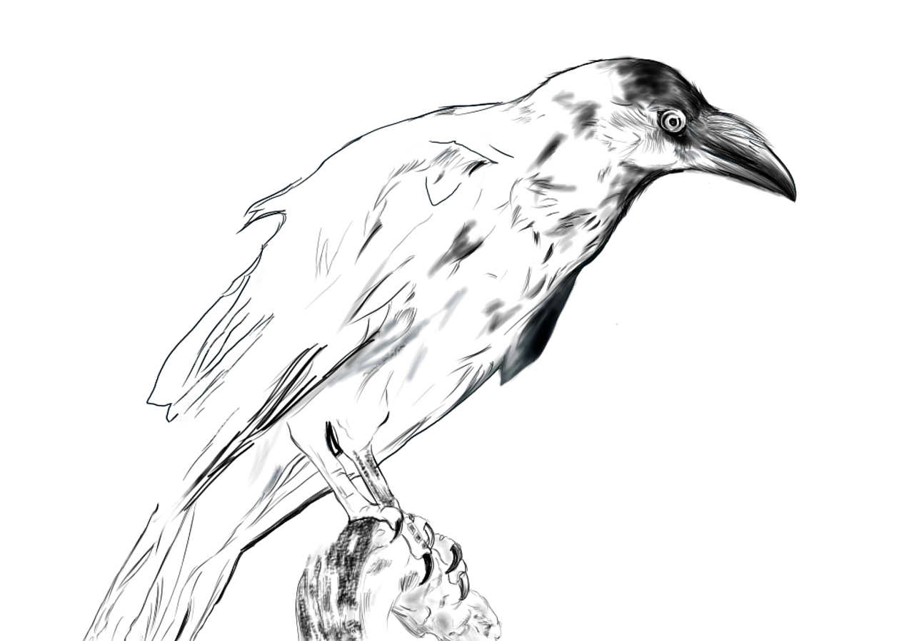 鸦- 原创作品 - 站酷(zcool)