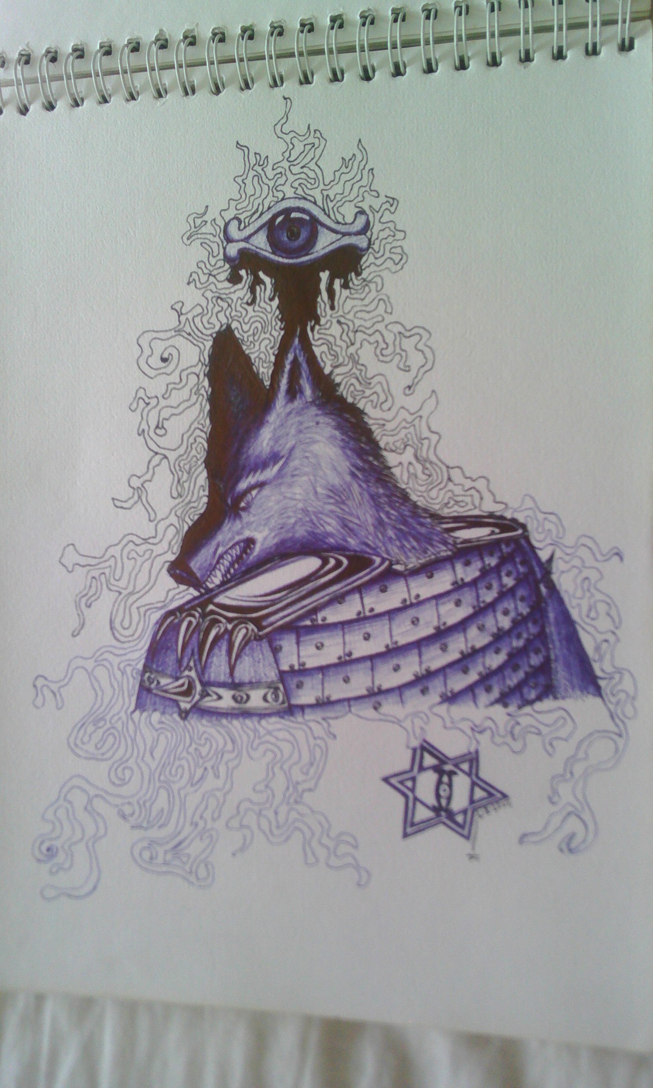 自己的04年—09年的本子,画满了快乐和悲伤~~~~~~