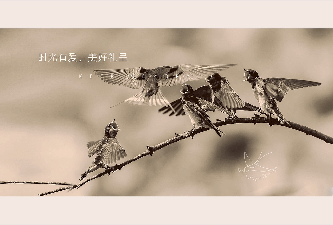 [ 创意包装品牌 ] 时光新物（图ZMjQyMTQwODg0） - 品牌 - 站酷设计师熊猫上树的乐趣啊原创素材 - 站酷ZCOOL