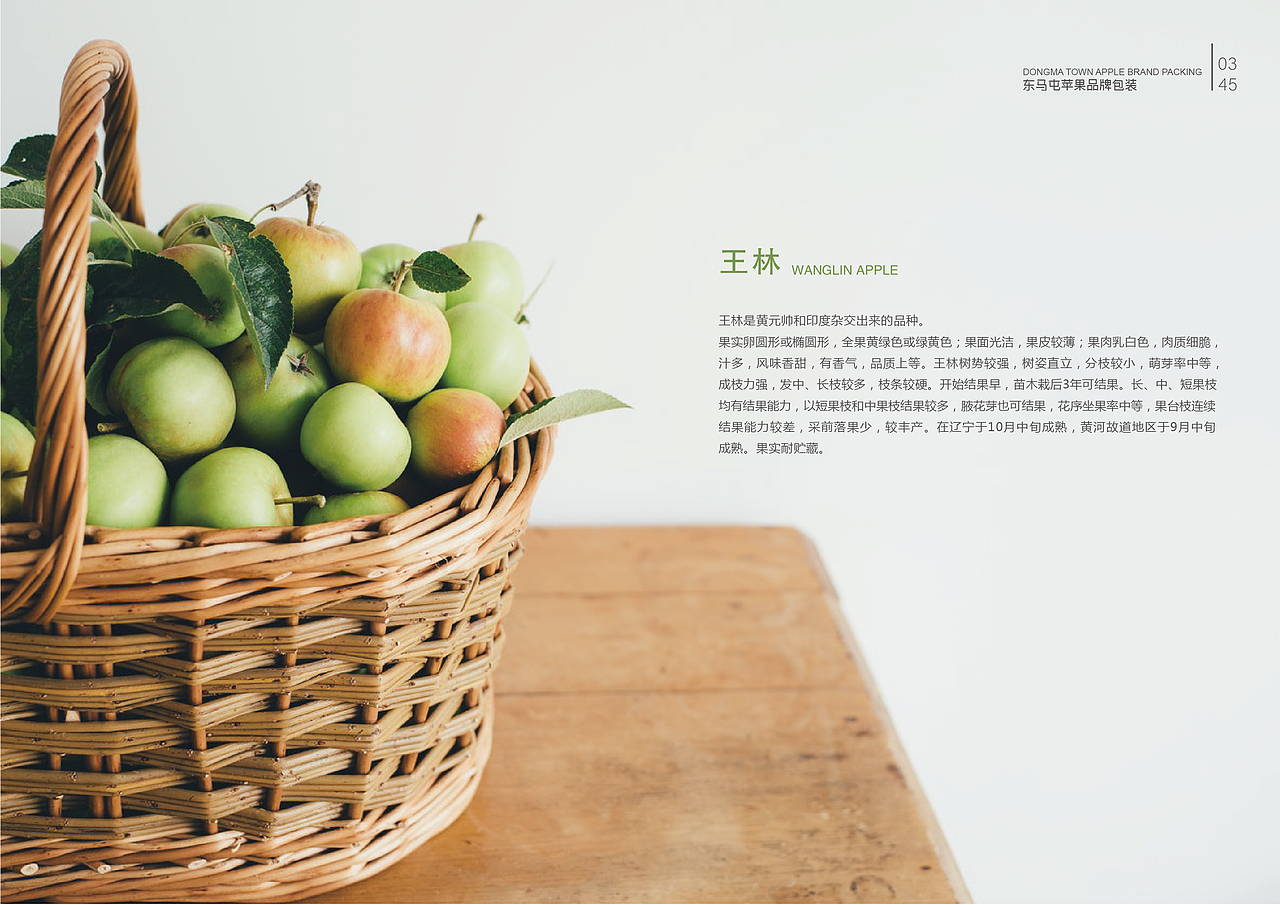 毕业手册（图ZMTY4OTgwNjYw） - 书籍/画册 - 站酷设计师zln张丽娜原创素材 - 站酷ZCOOL