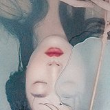 总攻是只猫的头像