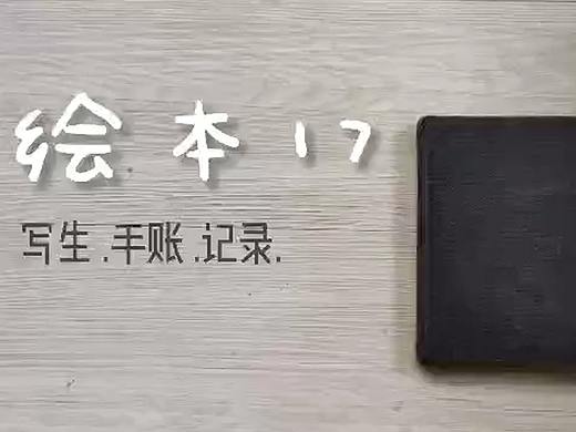 我的第17本绘本（水彩写生 手账记录生活）