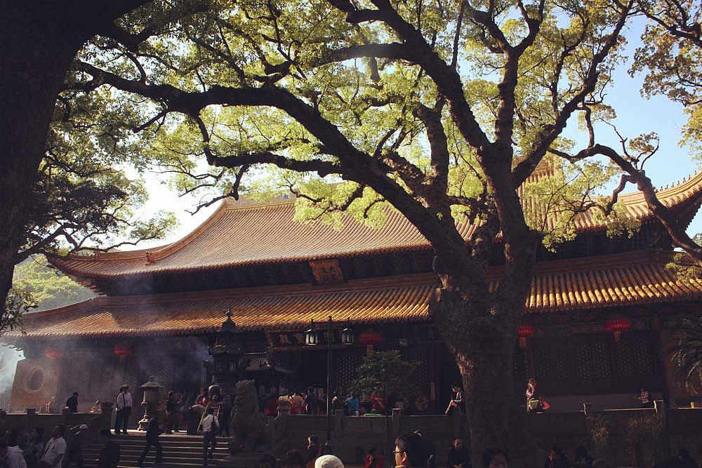 癸巳春尾南游——佛国普陀（图ZOTQ1OTcxNg==） - 风光摄影 - 站酷设计师莲羊原创素材 - 站酷ZCOOL