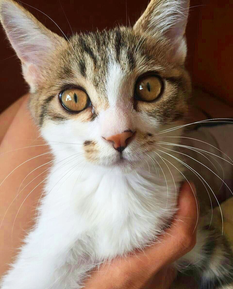 看什么看  没见过帅哥吗