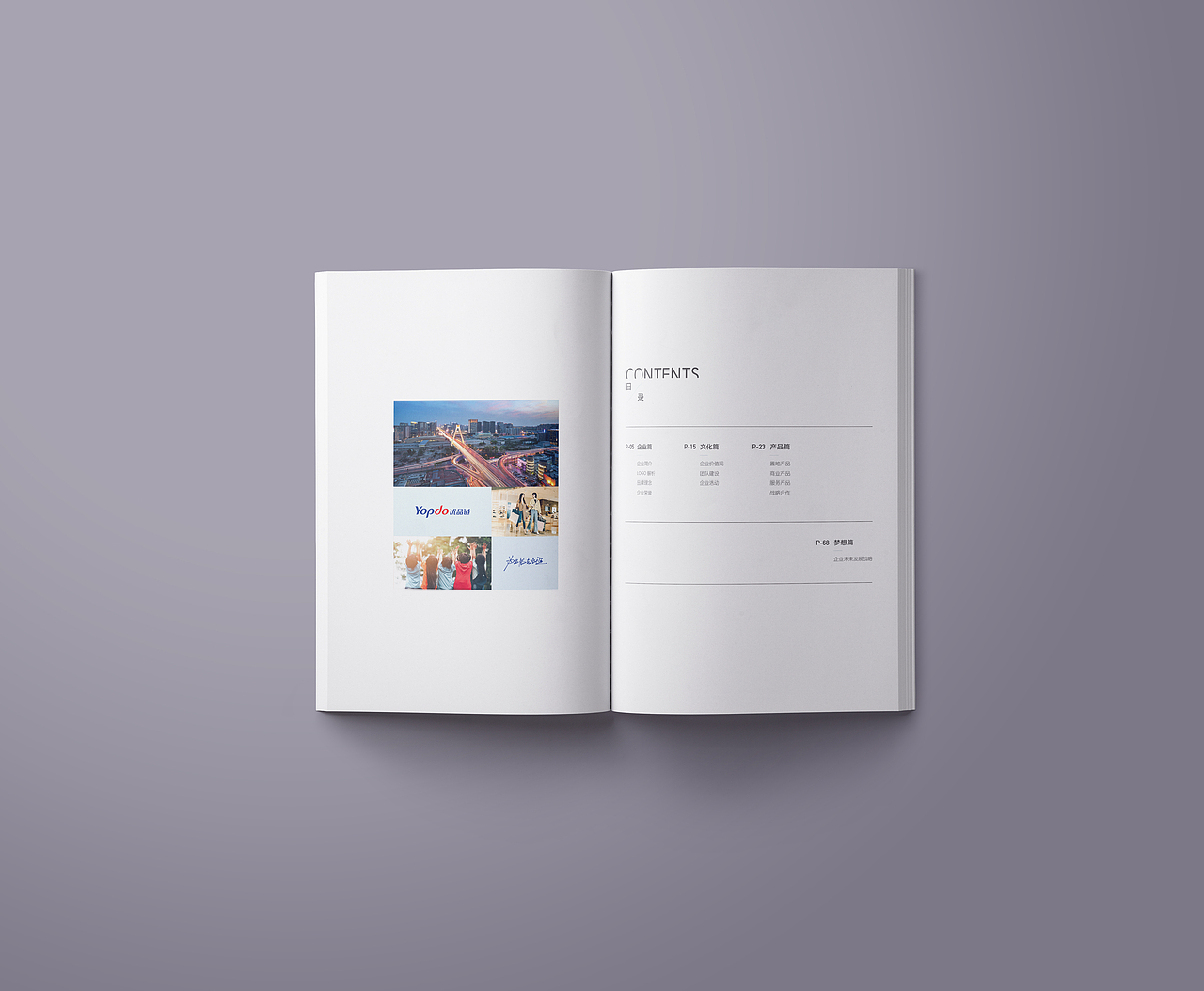 优品道集团画册