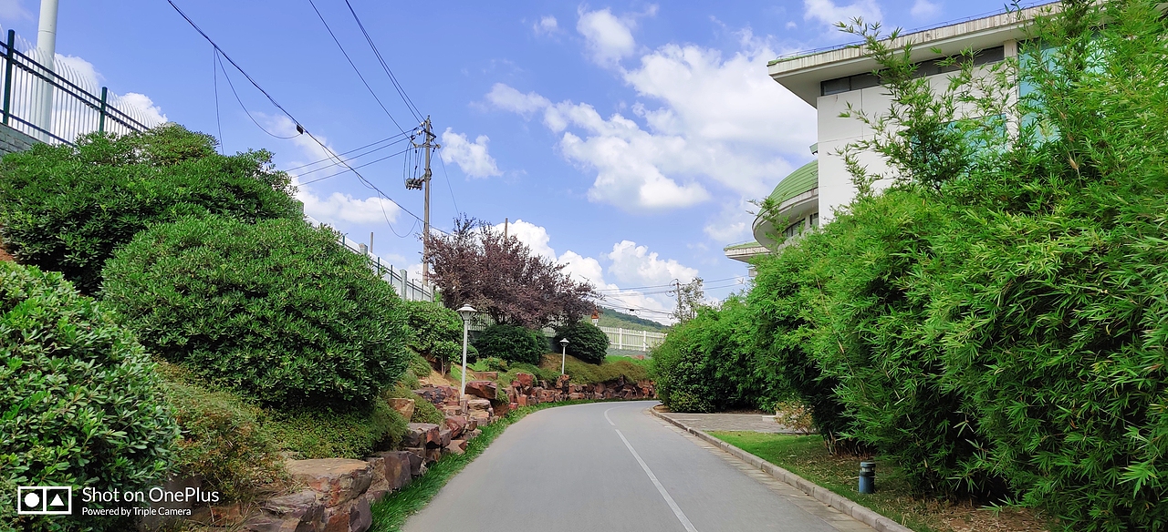 风景组图{手机摄影}