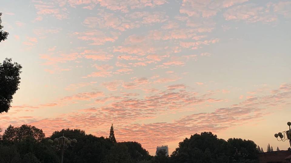 Z68370717的个人主页（背景预览） - 主页背景设置 - 站酷设计师Z68370717原创素材 - 站酷ZCOOL