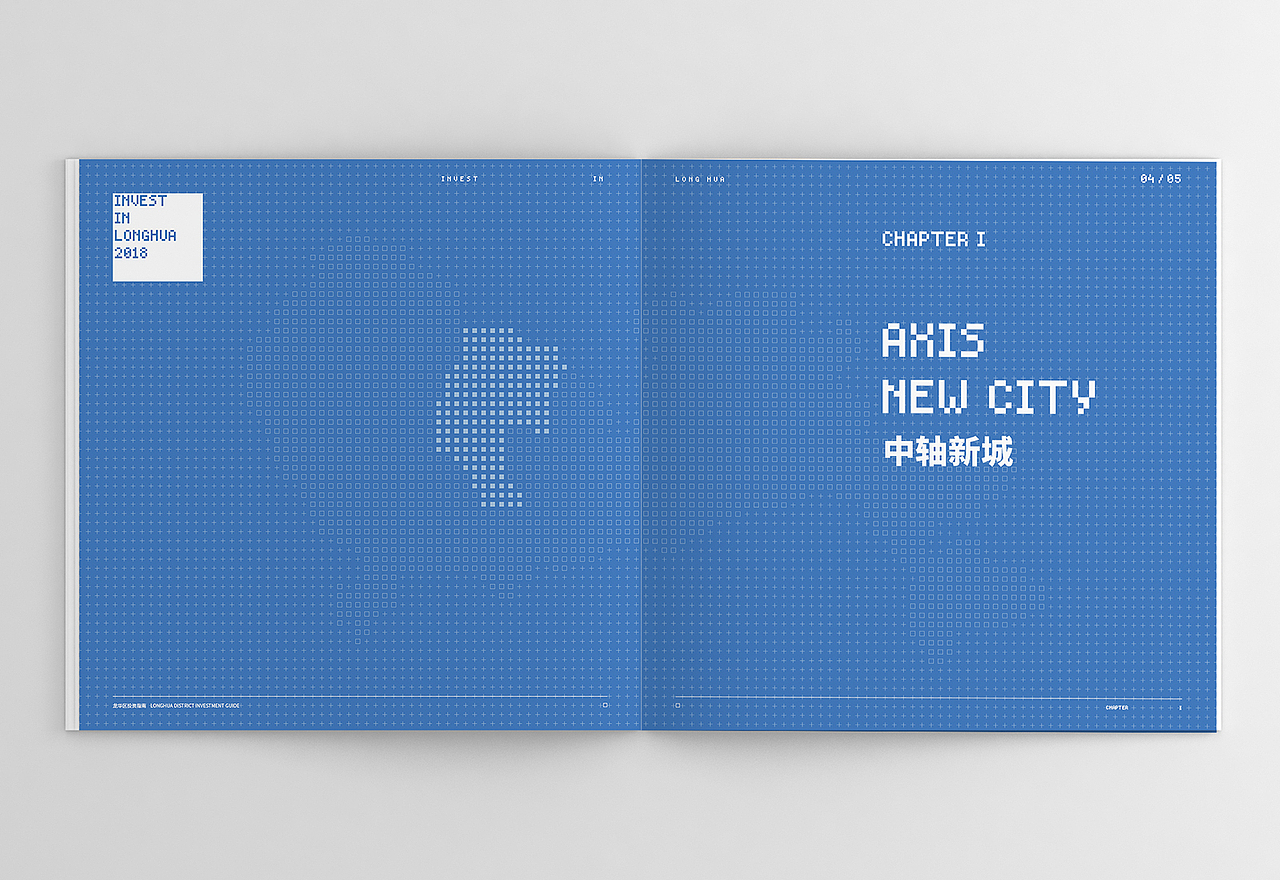 Invest in Longhua 2018