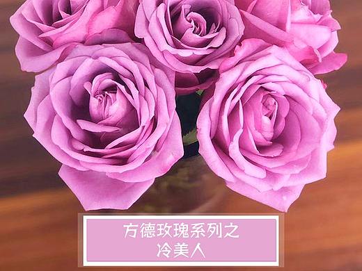 云南昆明品牌鲜花 无土栽培——方德玫瑰