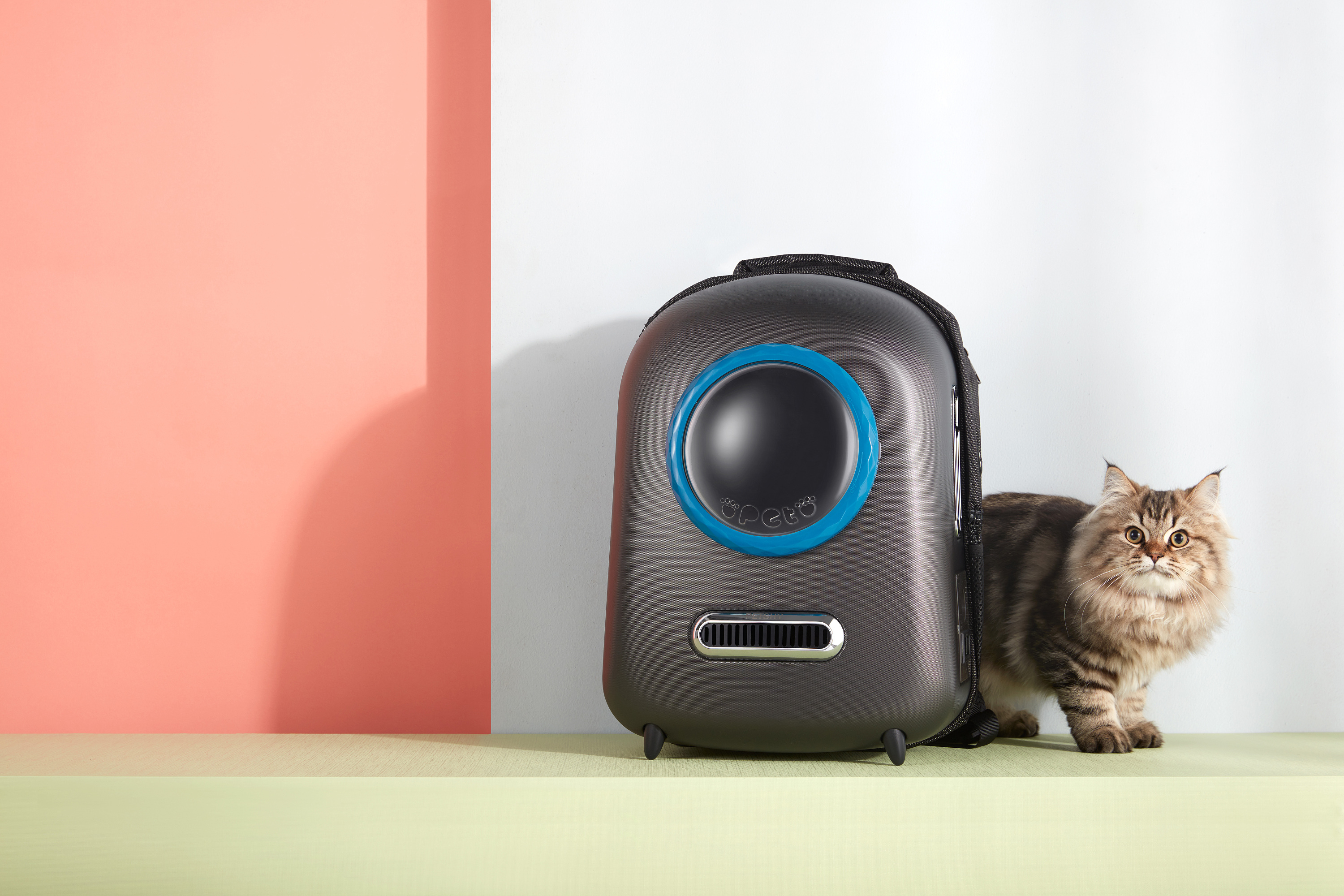 宠物产品摄影&猫包