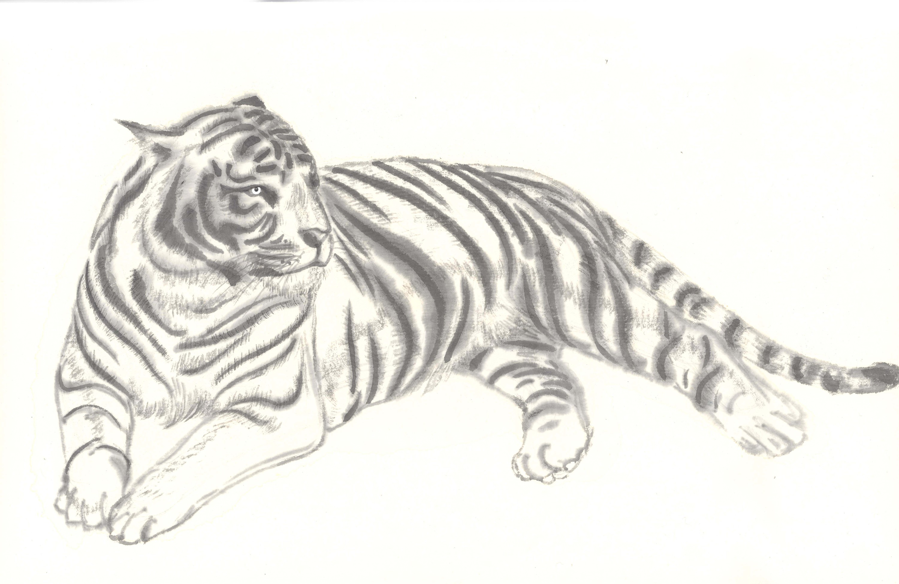 白描-水墨-老虎-6-10