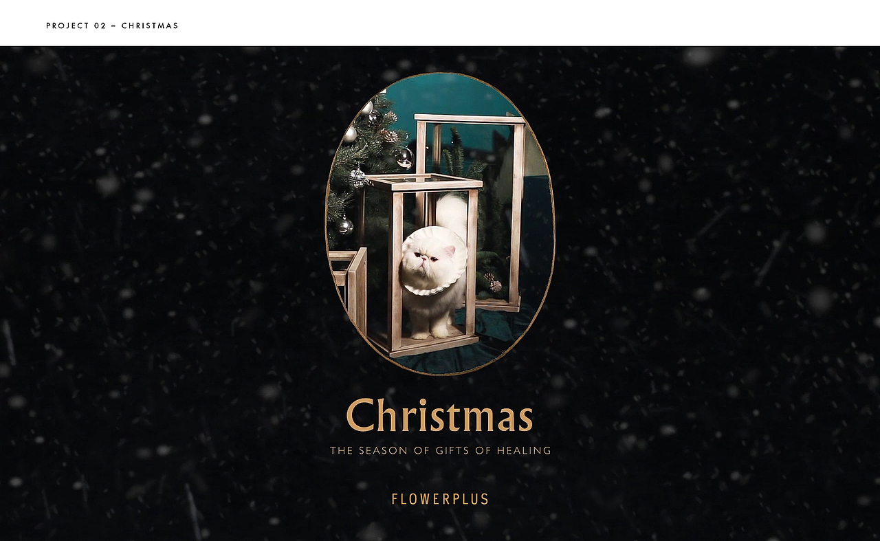 Flowerplus | 花加（图ZMTEzNDAwNjYw） - 品牌 - 站酷设计师秦哲祺_Alan原创素材 - 站酷ZCOOL