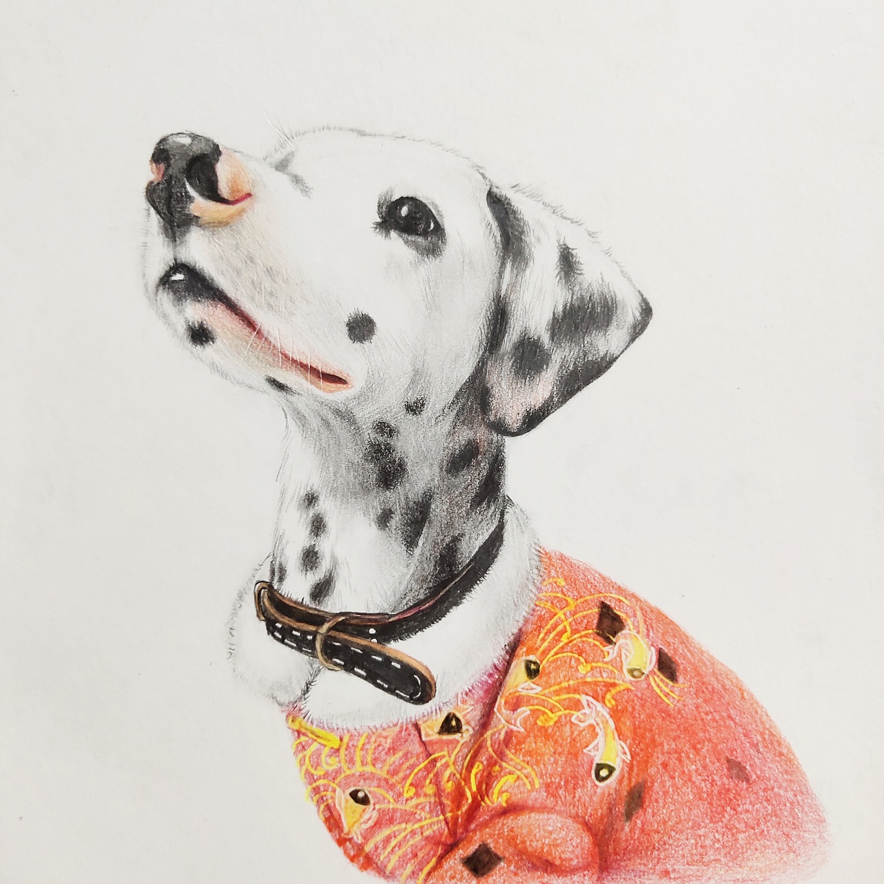 手绘狗狗 斑点狗kyle