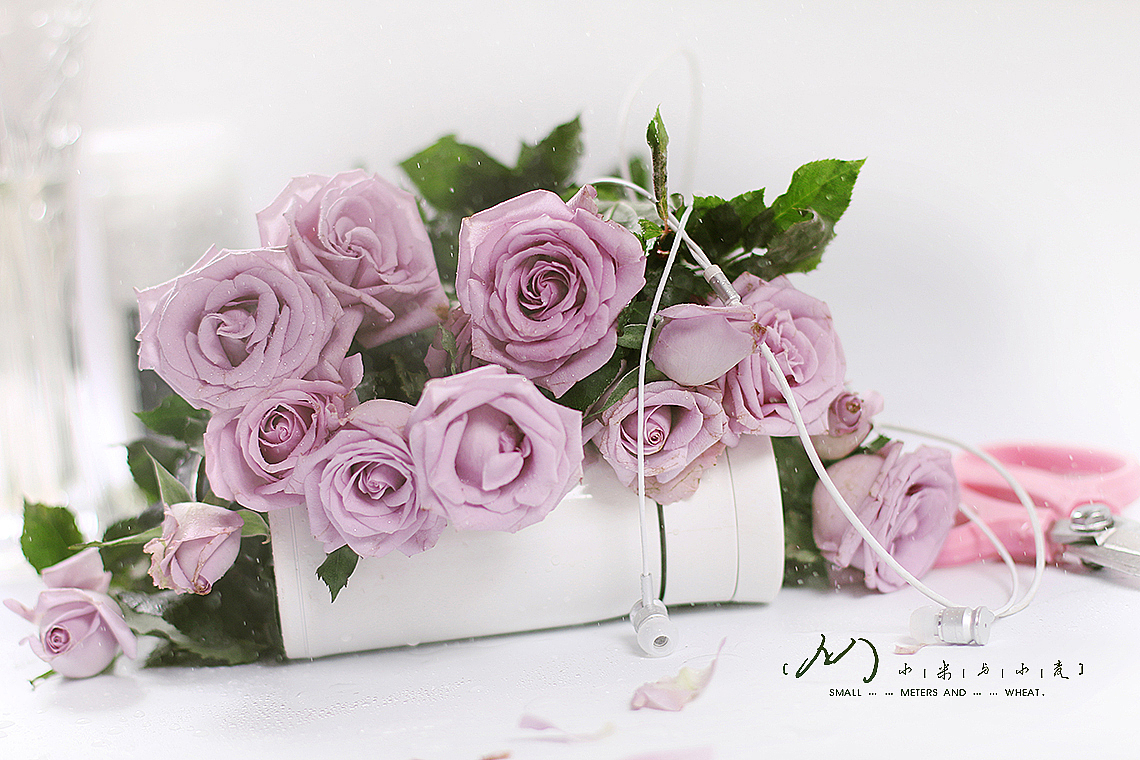 Flower-紫精灵（图ZOTc2MjE0NDQ=） - 产品摄影 - 站酷设计师小米与小麦原创素材 - 站酷ZCOOL