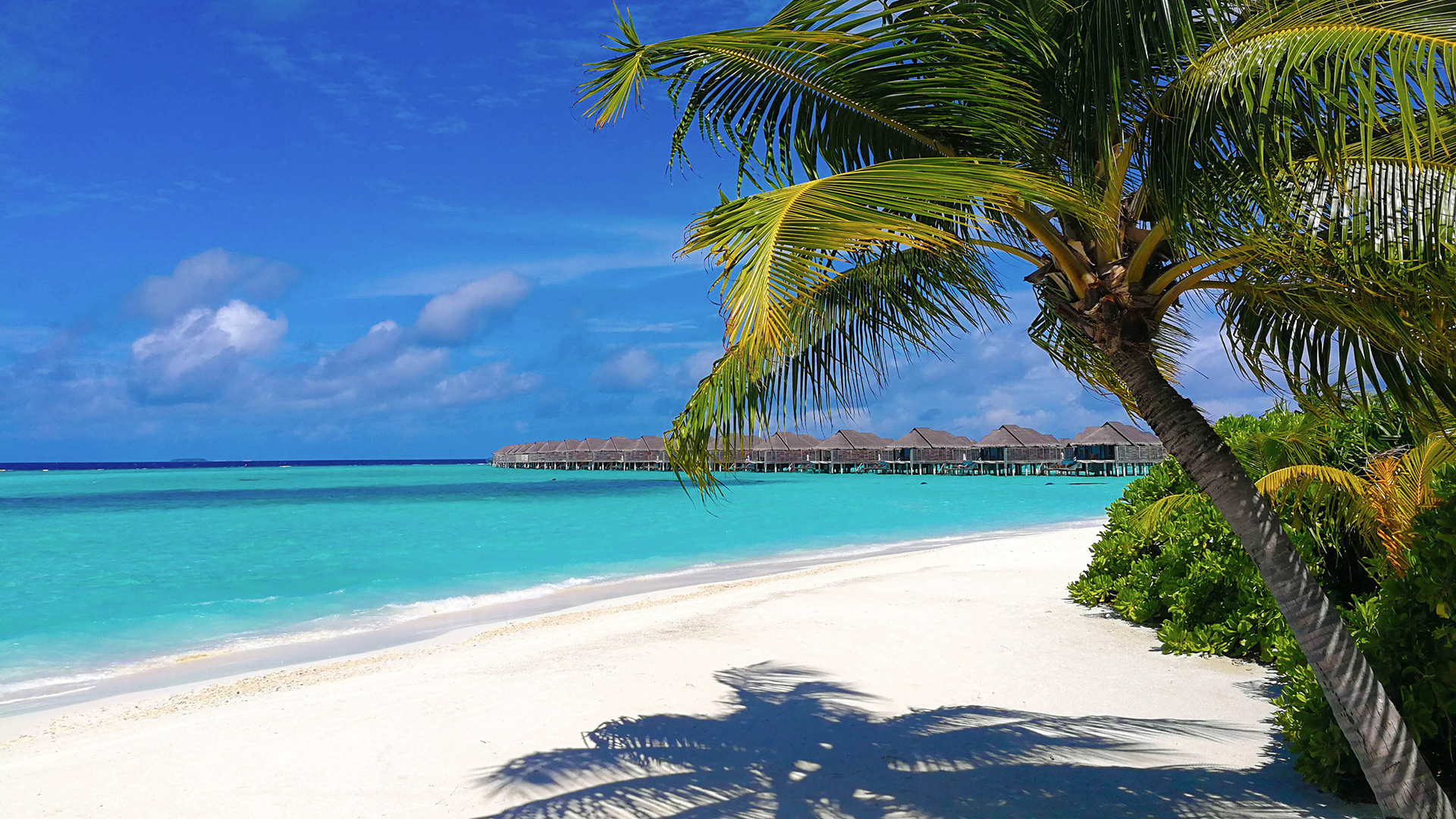 马尔代夫(akv)安娜塔拉吉哈瓦岛