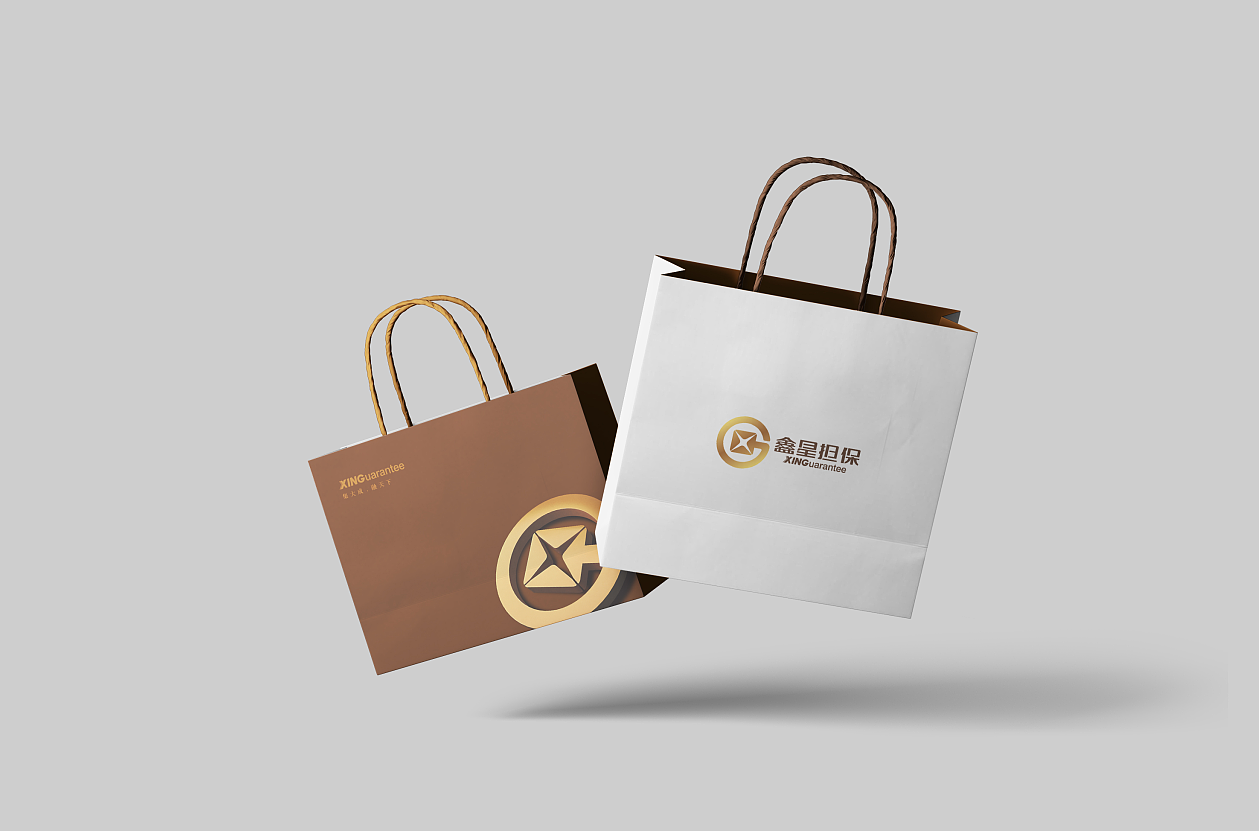 金融行业-鑫星担保LOGO设计