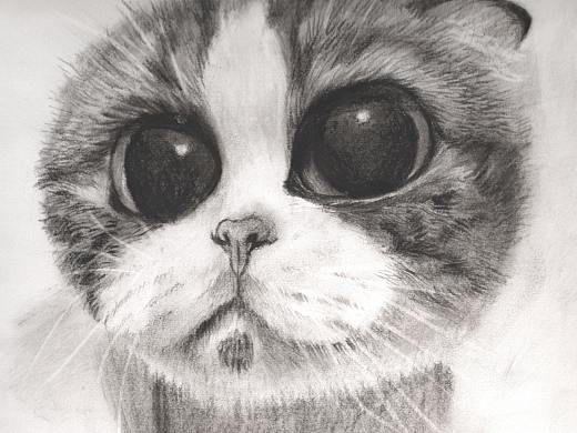 喵~~没有喵就画一只吧（个人主页-ZNTgxOTUxMzY=） - 绘画 - 站酷设计师CXL陈小懒原创素材 - 站酷ZCOOL