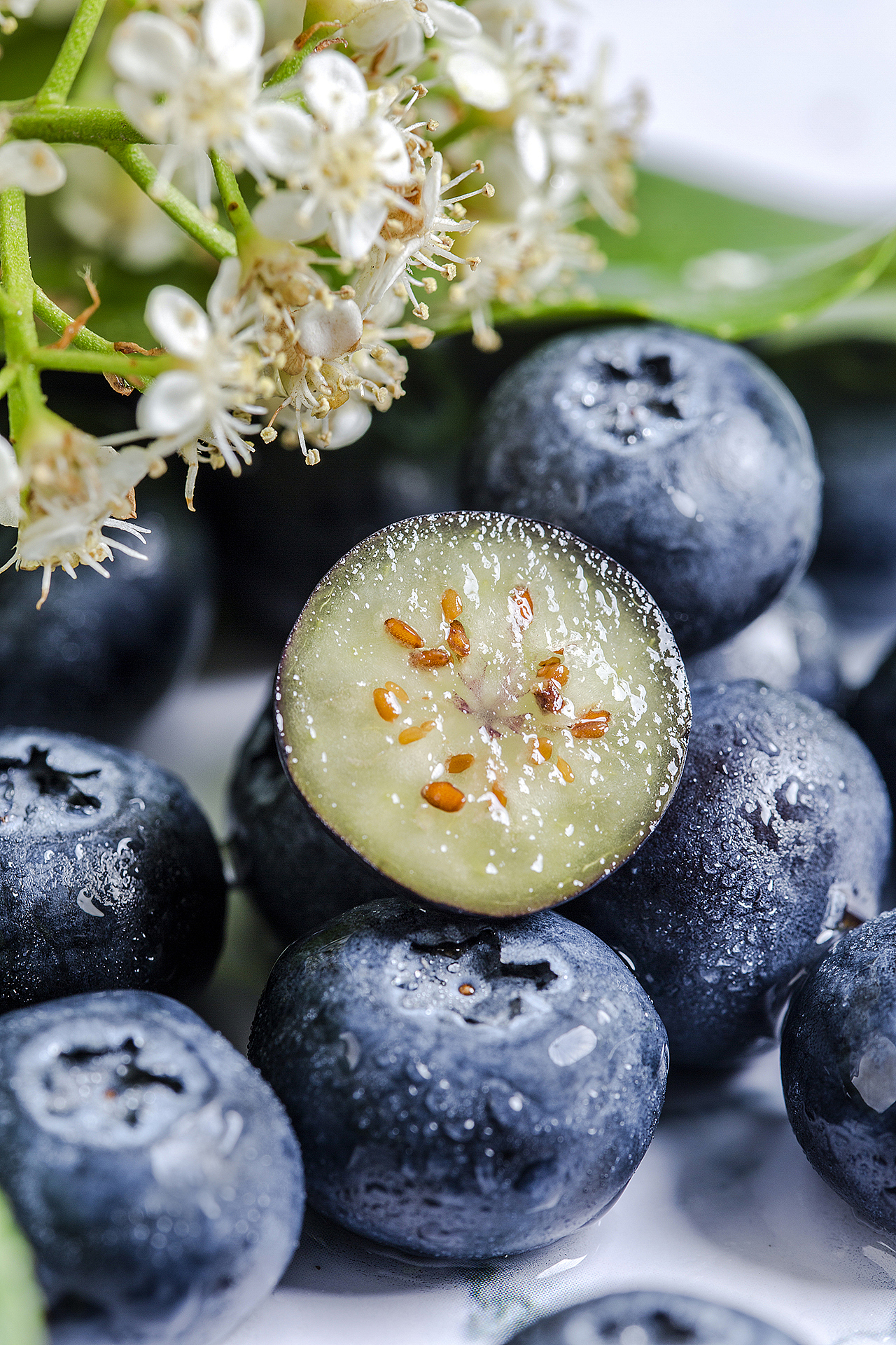 蓝莓样片拍摄|九零微文化