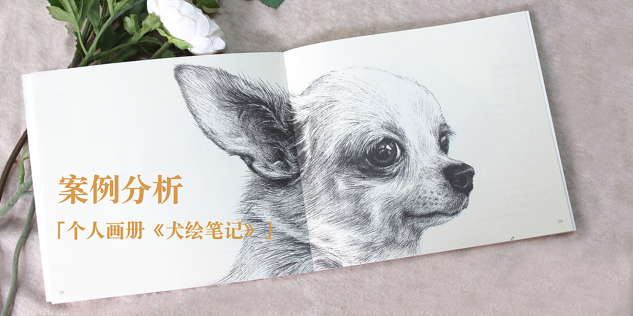 硕士期间部分作品集（图ZMjAyMjUxMjEy） - 品牌 - 站酷设计师一本墨晗原创素材 - 站酷ZCOOL