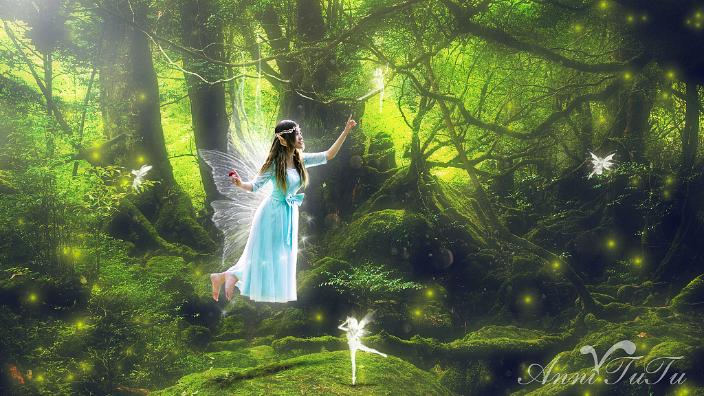 森林的精灵