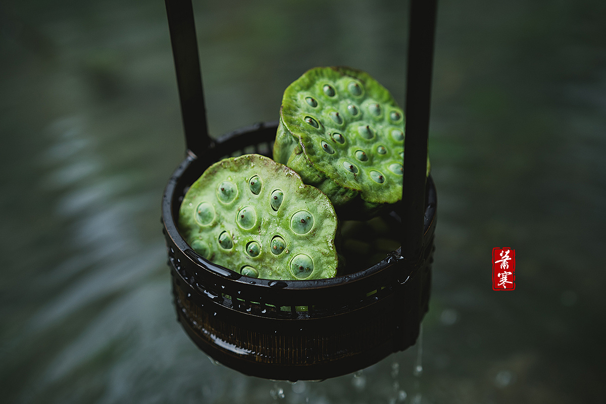 国风静物摄影 | 溪头卧剥莲蓬|摄影|美食摄影|萧寒jevil - 原创作品