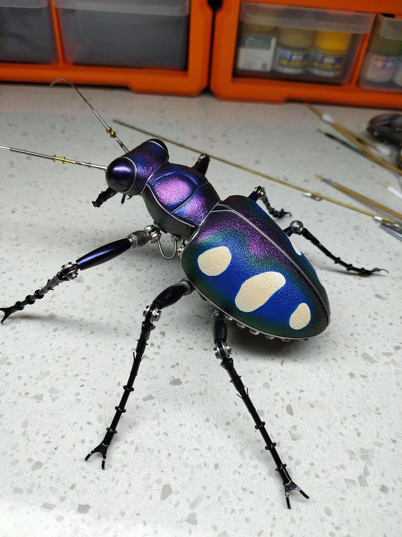 昆虫的机械进化