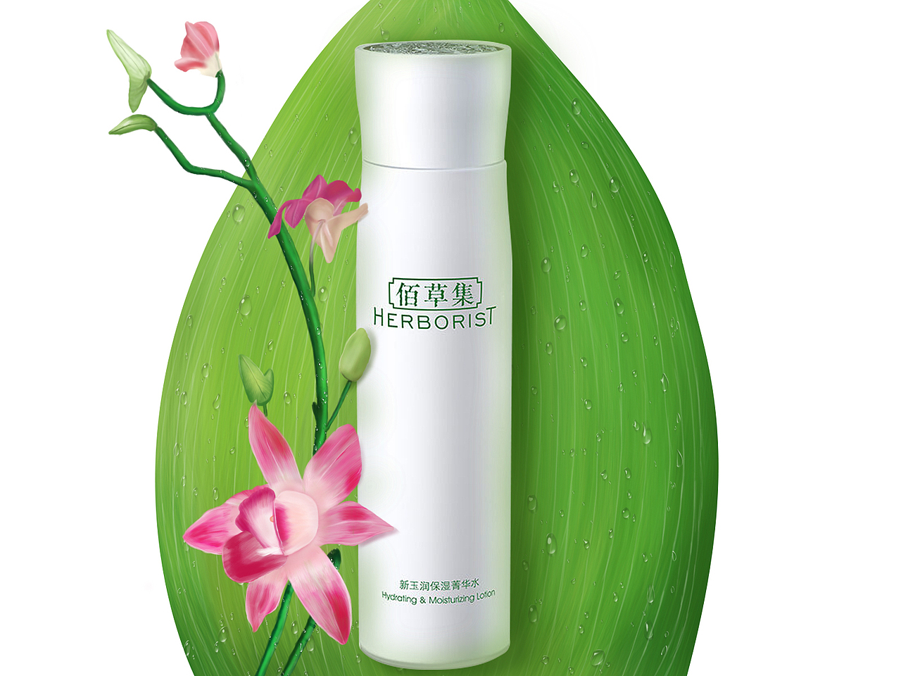 一组写实插画小练习