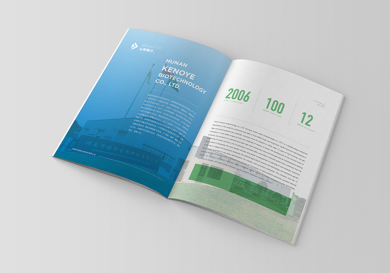 画册设计_零似零品牌设计