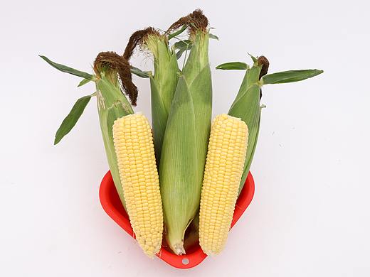 B07水产生鲜\C08-新鲜蔬菜\V01鲜玉米X1-QM